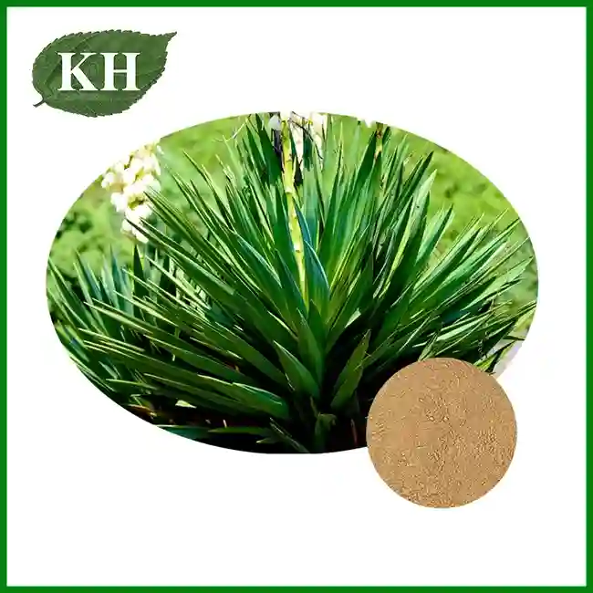 Yucca Extract Powder — Animal Feed Additive